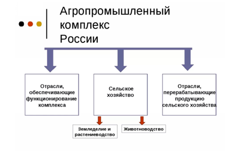 Связи между отраслями входящими в апк. Агропромышленный комплекс России. Структура агропромышленного комплекса. Отрасли агропромышленного комплекса. Структура АПК России.